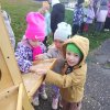 ПТИЧЬЯ СТОЛОВАЯ