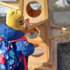 ПТИЧЬЯ СТОЛОВАЯ