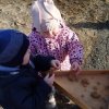 ПТИЧЬЯ СТОЛОВАЯ