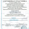 Участие в стажерской практике